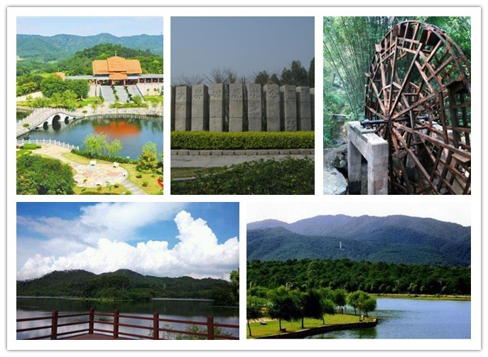 <b>一禾科技組織東莞大屏障森林公園戶外拓展活動(dòng)</b>